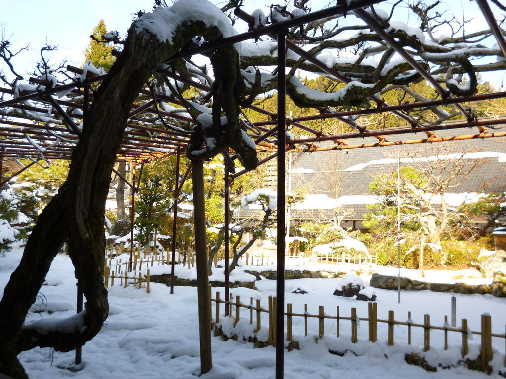 高野山 宿坊 熊谷寺 -Koyasan Shukubo Kumagaiji- Wakayama Bagian luar foto